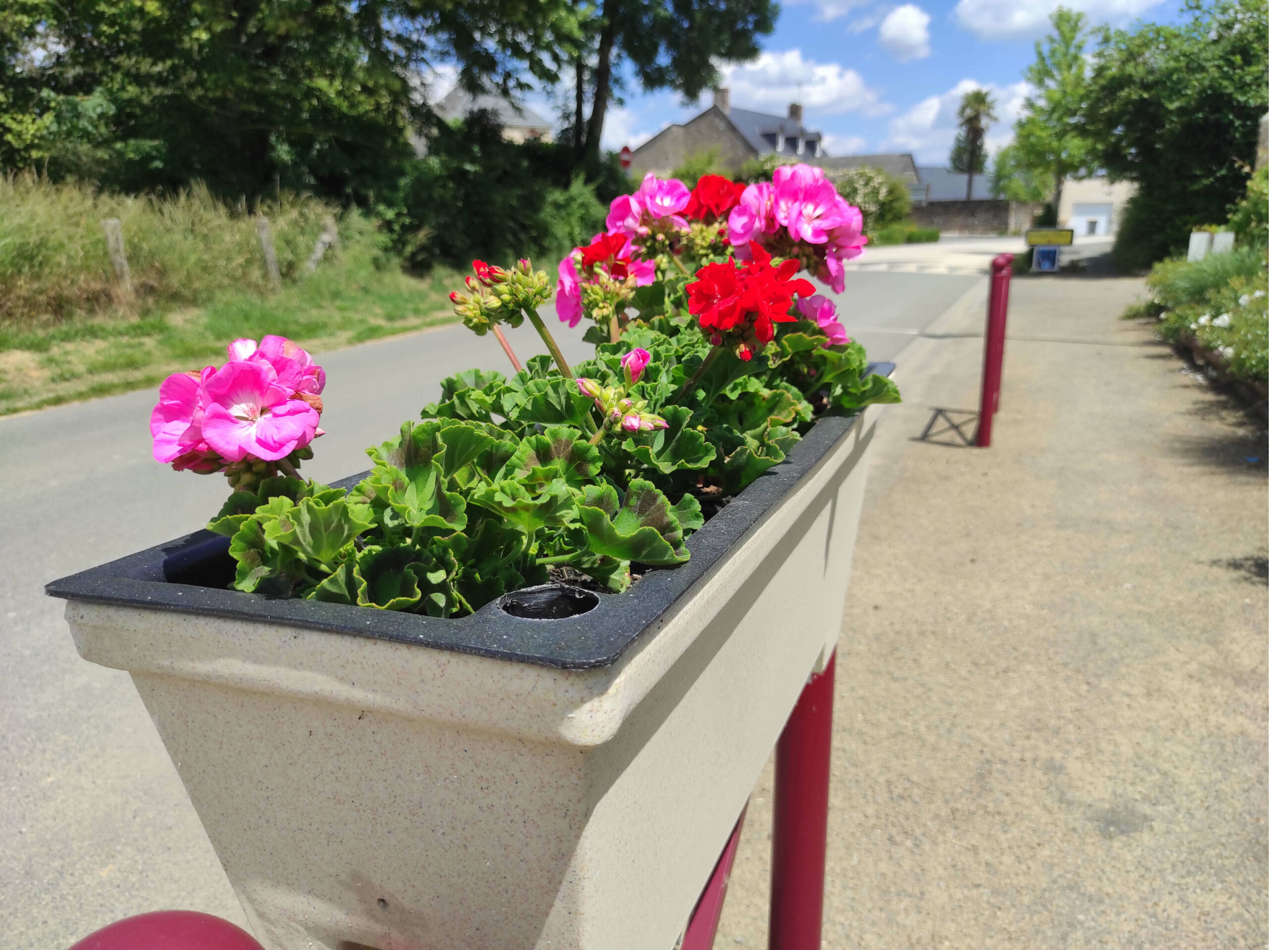 Jardinière à réserve d'eau