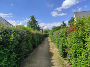 Un chemin piétonnier